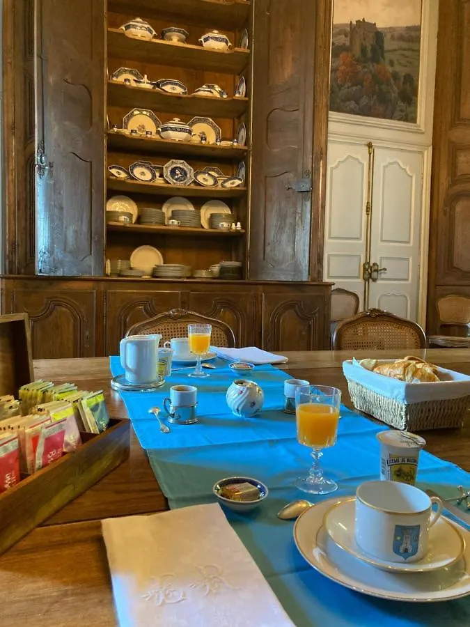 Château de La Vigne Ally  Ally (Cantal)
